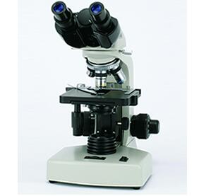 CSB-10