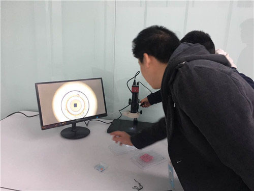 客户展示效果超赞